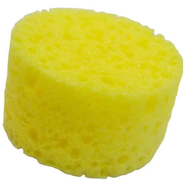 Sponge sea oval