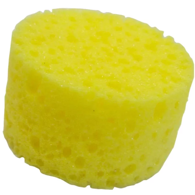 Sponge sea oval