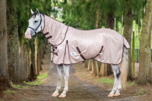 Blue steel fly sheet